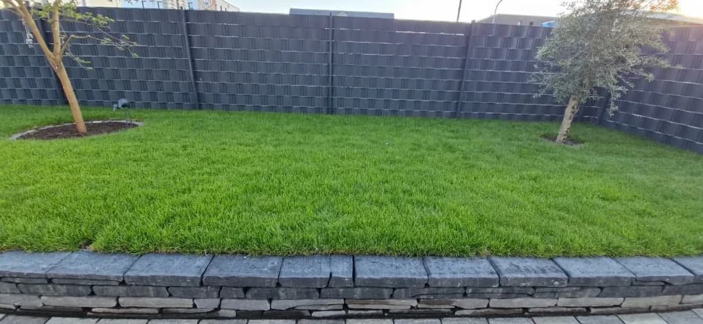 Rasenfläche vor einem dunklen Sichtschutzzaun
